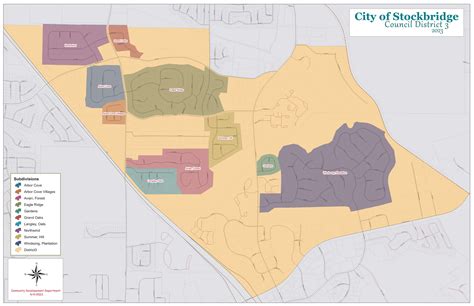 city of stockbridge ga government.